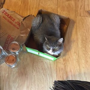 Meet your Posher, Megan