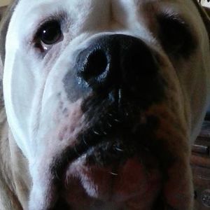 Meet your Posher, Becky