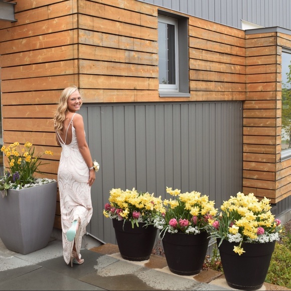 Meet your Posher, Daisey - Picture 2 of 4