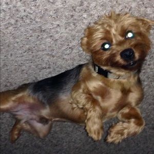 Meet your Posher, Jada