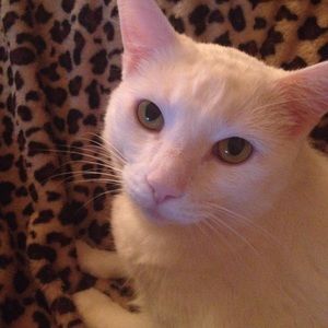 Meet your Posher, Deidre