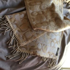 Coach scarf
