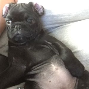 Meet your Posher, Brooke