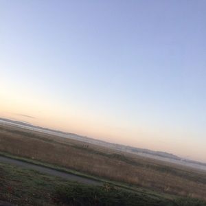 Meet your Posher, Audrey