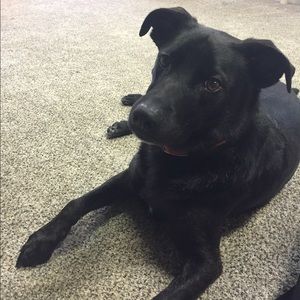 Meet your Posher, Bre