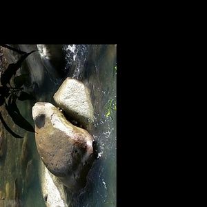 Meet your Posher, Leida