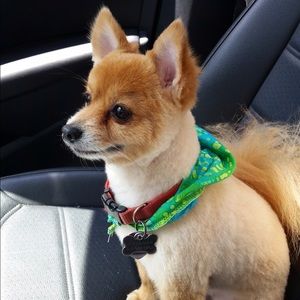 Meet your Posher, Jones