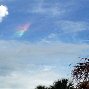 Meet your Posher, Isabella