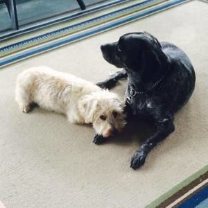 Meet your Posher, Deborah