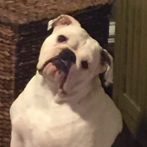 Meet your Posher, Brandy