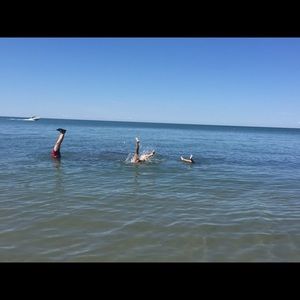 Meet your Posher, Elisa