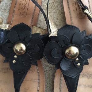 Coach sandals! Size 9 1/2