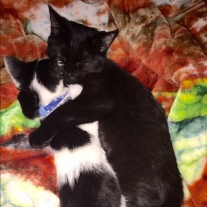 Meet your Posher, Meredith