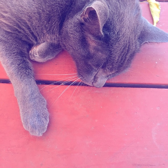 w e l c o m e 🌾 - Picture 2 of 4