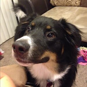 Meet your Posher, Rita