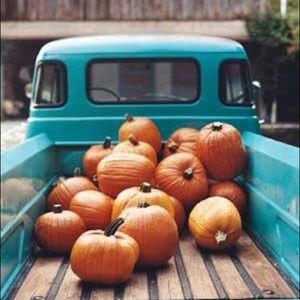 Meet your Posher, Brandi