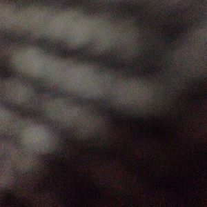 Meet your Posher, Madeline