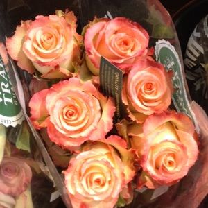 Meet your Posher, Lacie