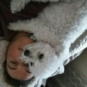 Meet your Posher, Yvonne