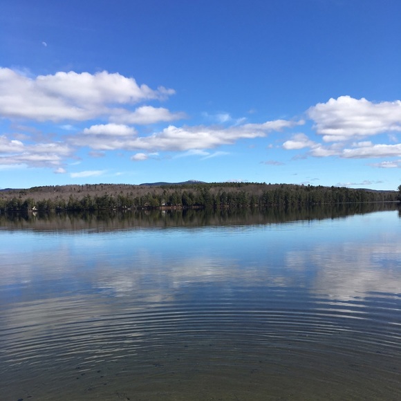 Meet your Posher, Jocelyn - Picture 2 of 4