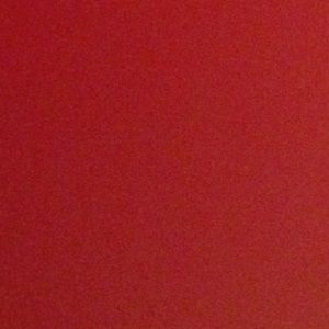 Meet your Posher, Camille