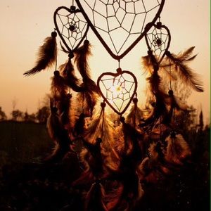 Meet your Posher, Kenzy