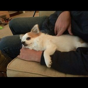 Meet your Posher, Elliot