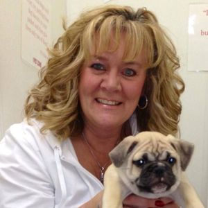 Meet your Posher, Kay