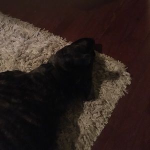 Meet your Posher, Dawn