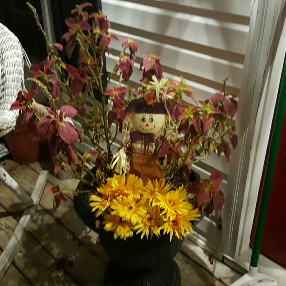 Meet your Posher, Michael - Picture 1 of 1