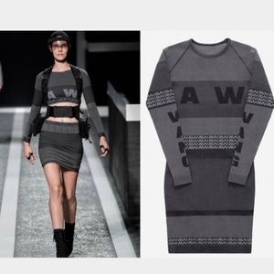 Alexander Wang H&M dress
