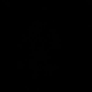 Meet your Posher, Bernice