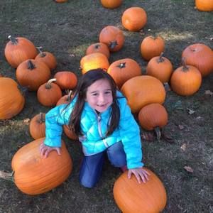 Meet your Posher, Ellen