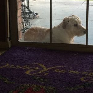 Meet your Posher, Karmin