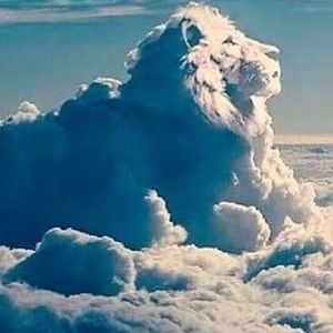 Meet your Posher, Marisa