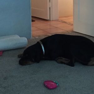 Meet your Posher, Marcie