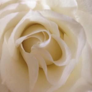 Meet your Posher, Audrey