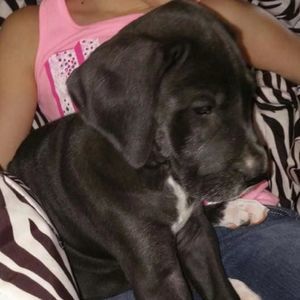 Meet your Posher, Michele