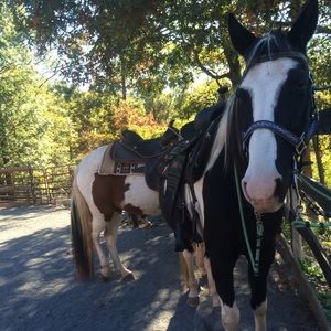 Meet your Posher, Claire