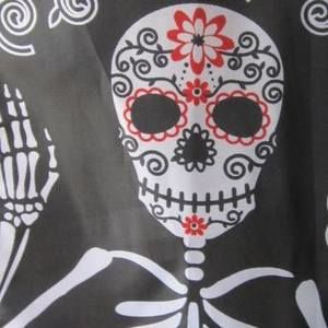 Meet your Posher, Elaine