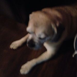 Meet your Posher, Brooke