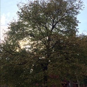 Meet your Posher, Alexandra