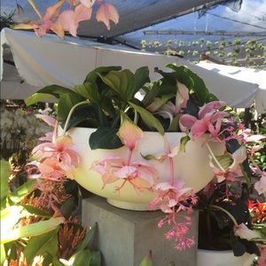 Meet your Posher, Isabelle