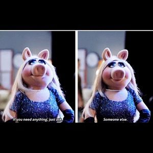 Meet your Posher, Kyra