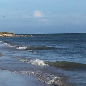 Meet your Posher, Latisha