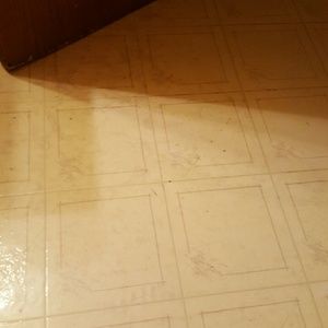 Meet your Posher, Tabitha