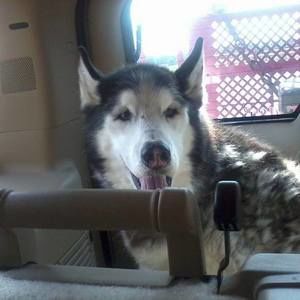 Meet your Posher, Judy