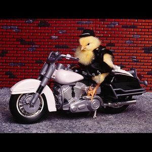 Meet your Posher, Dee