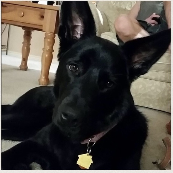 Welcome to my closet! - Picture 2 of 3