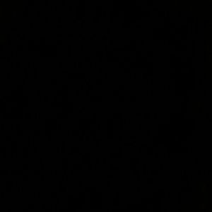 Meet your Posher, Ronette